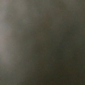 Meet your Posher, Shamus